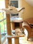 Billy und Buffy